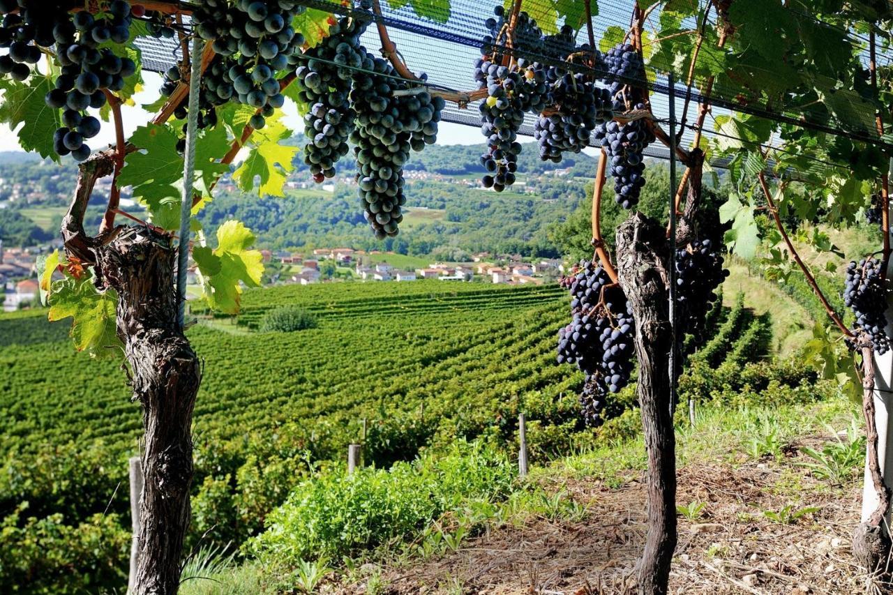 Conca Bella Boutique Hotel & Wine Experience Vacallo Exteriör bild