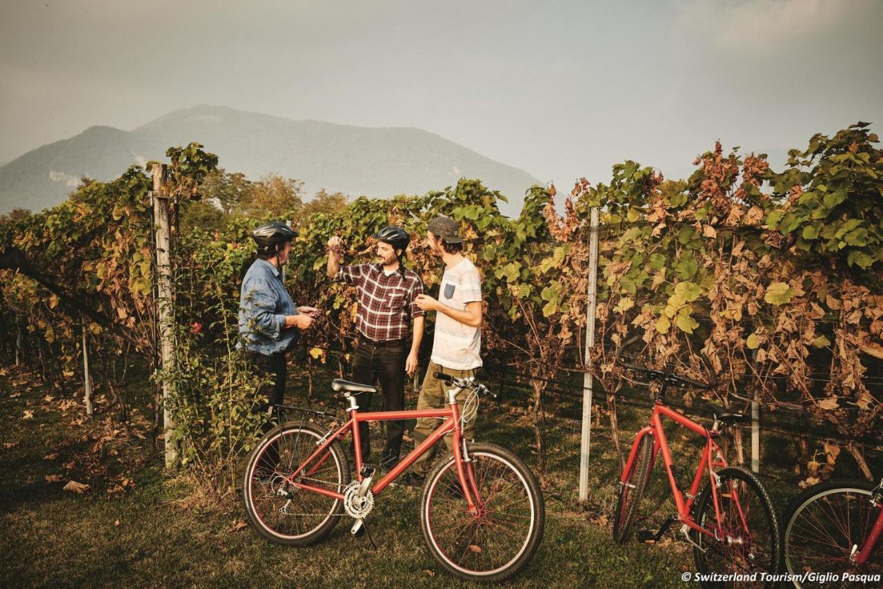 Conca Bella Boutique Hotel & Wine Experience Vacallo Exteriör bild